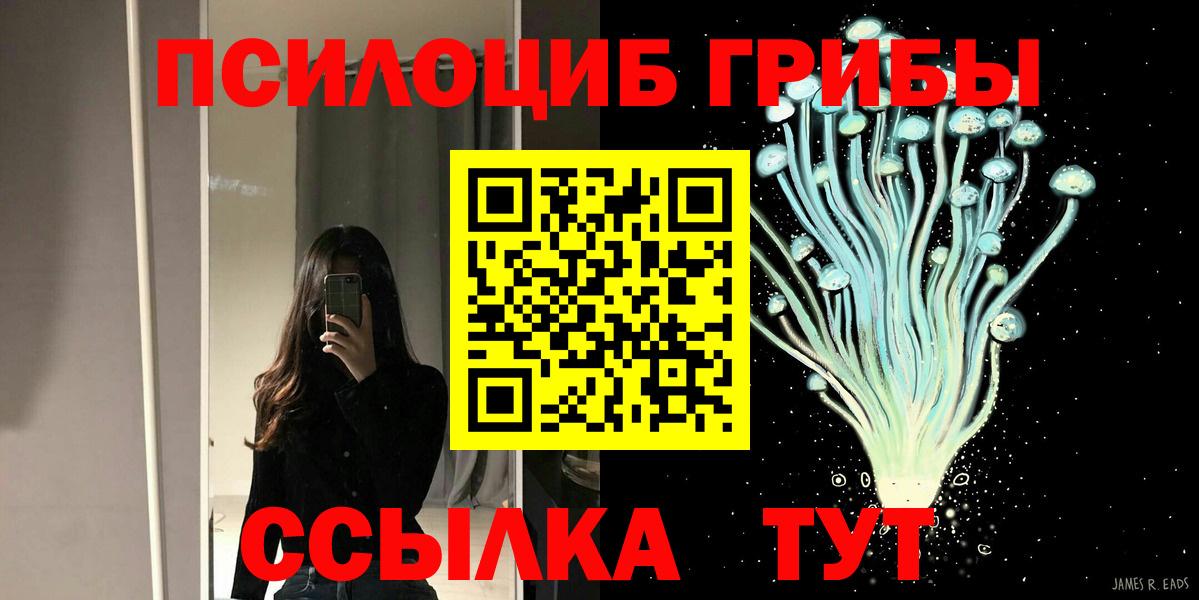 Галлюциногенные грибы GOLDEN TEACHER  что такое   Чусовой  Галлюциногенные грибы мицелий  Вход с VPN 