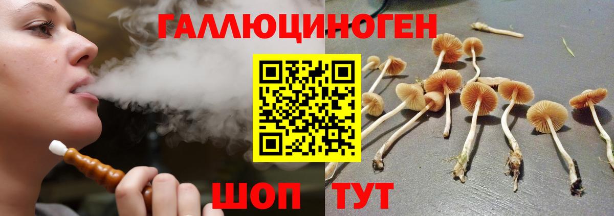 Галлюциногенные грибы мухоморы Чусовой
